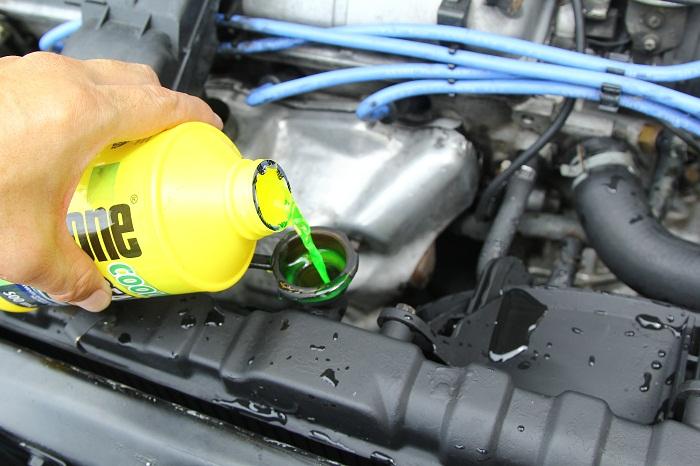 car gasket replacement cost