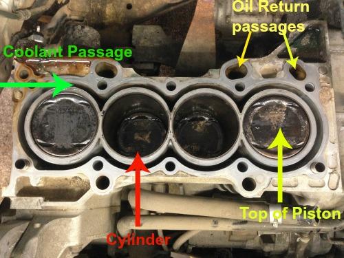 vehicle head gasket