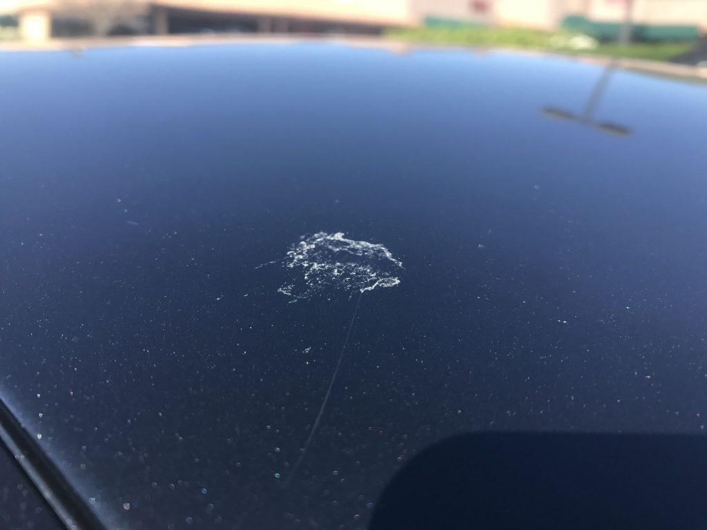 does bird poop ruin car paint