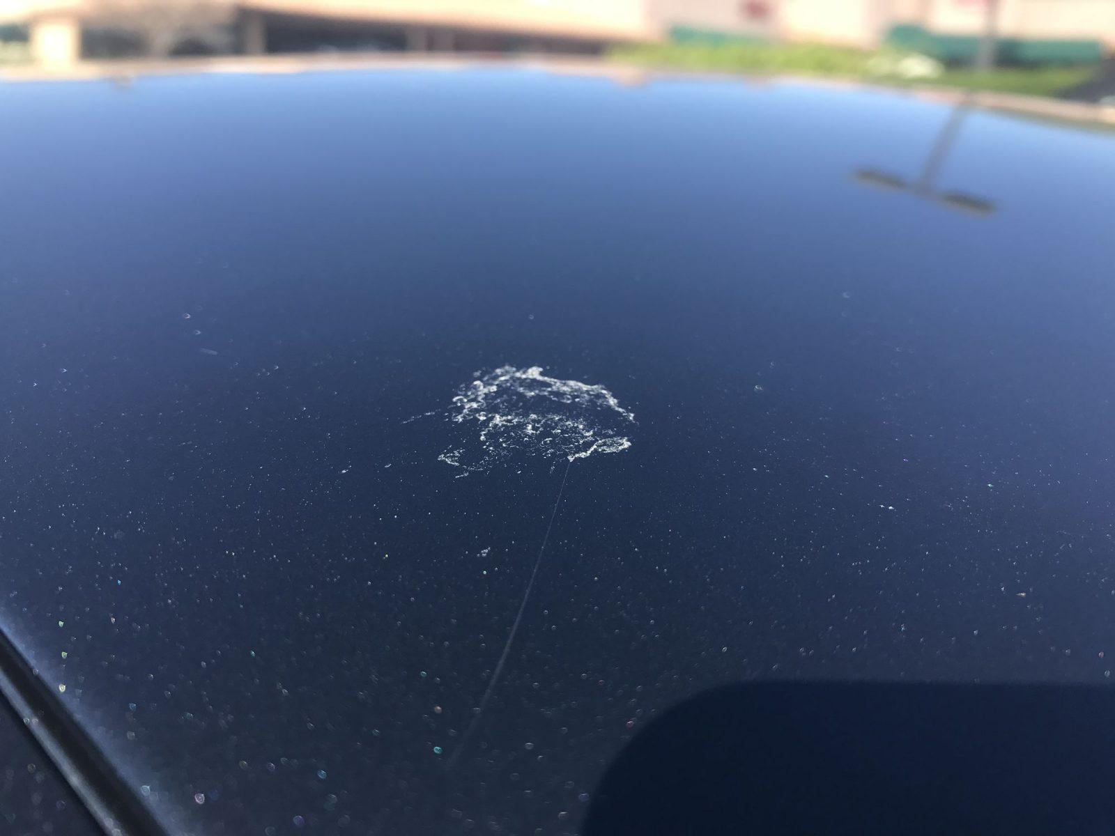 Bird poop on car