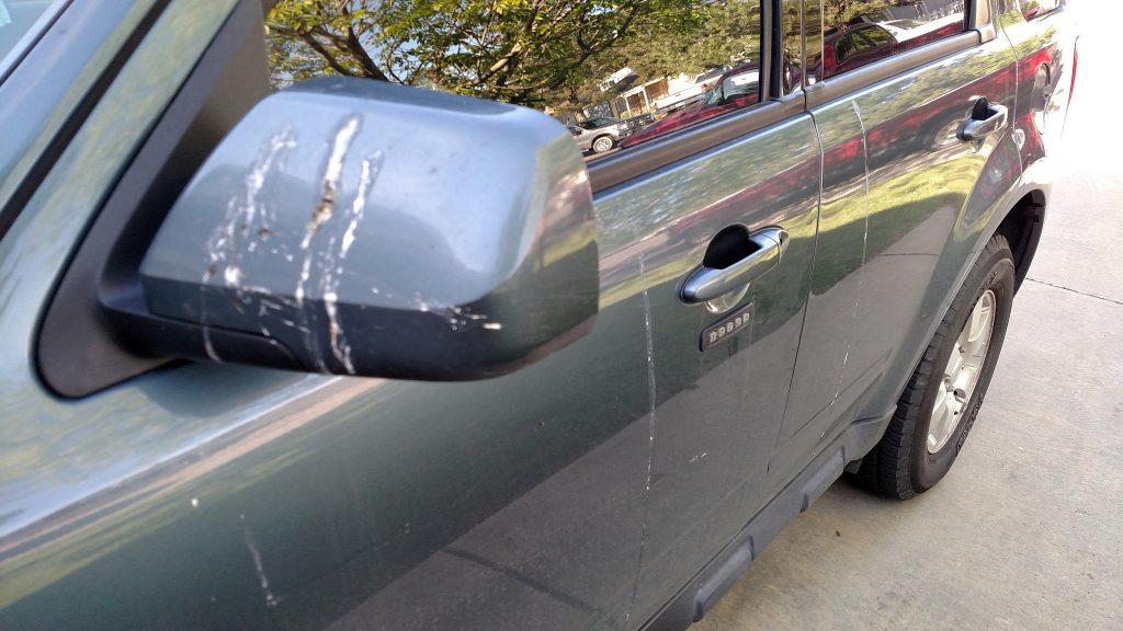 how to get bird poop stain off car