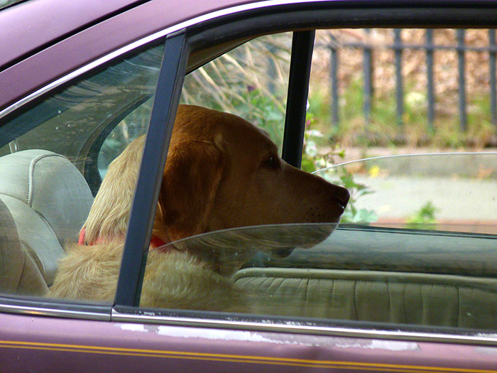 Keep the rear windows open for a couple of seconds. using ac in hot weather