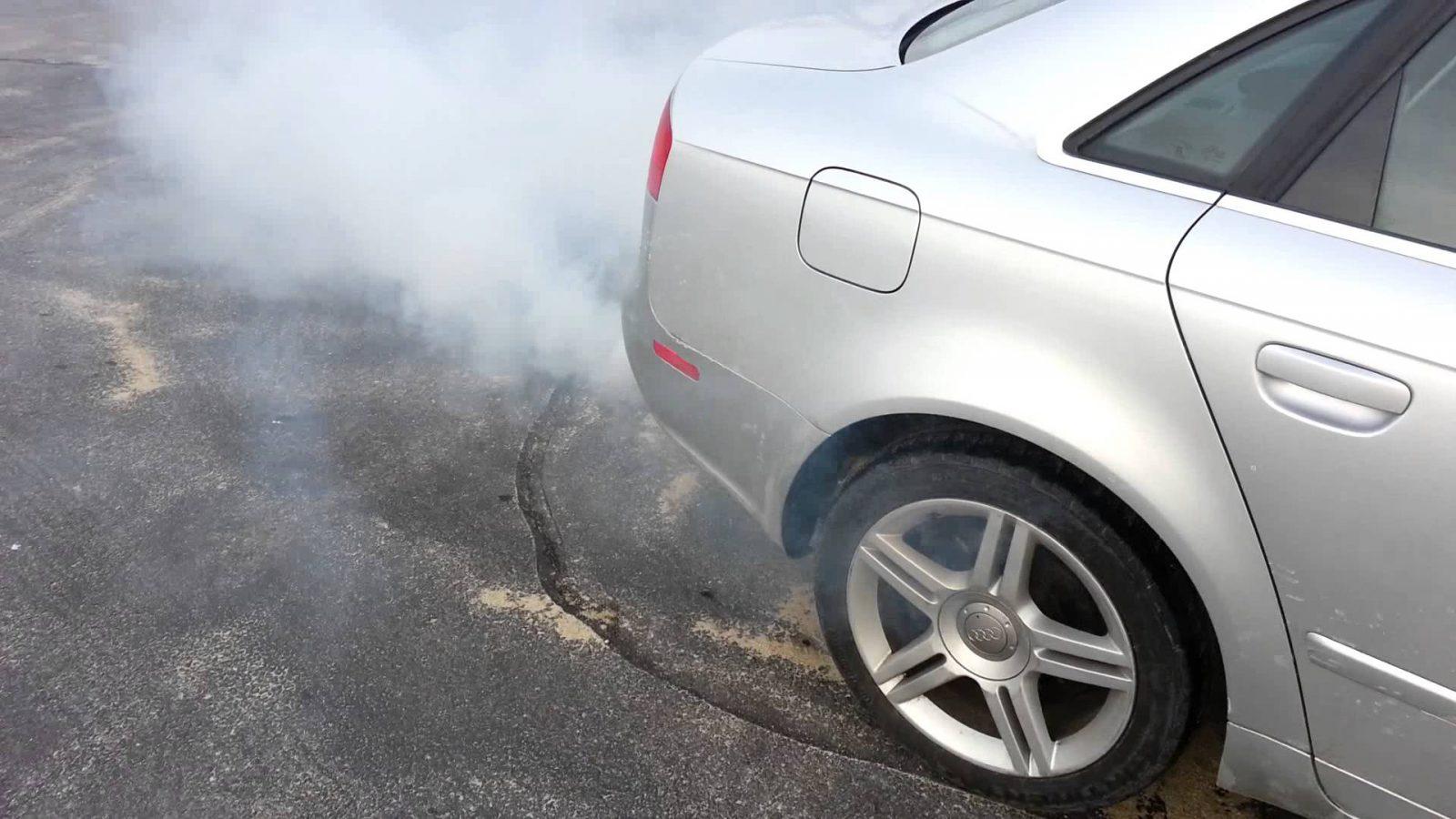 oil coming out of exhaust