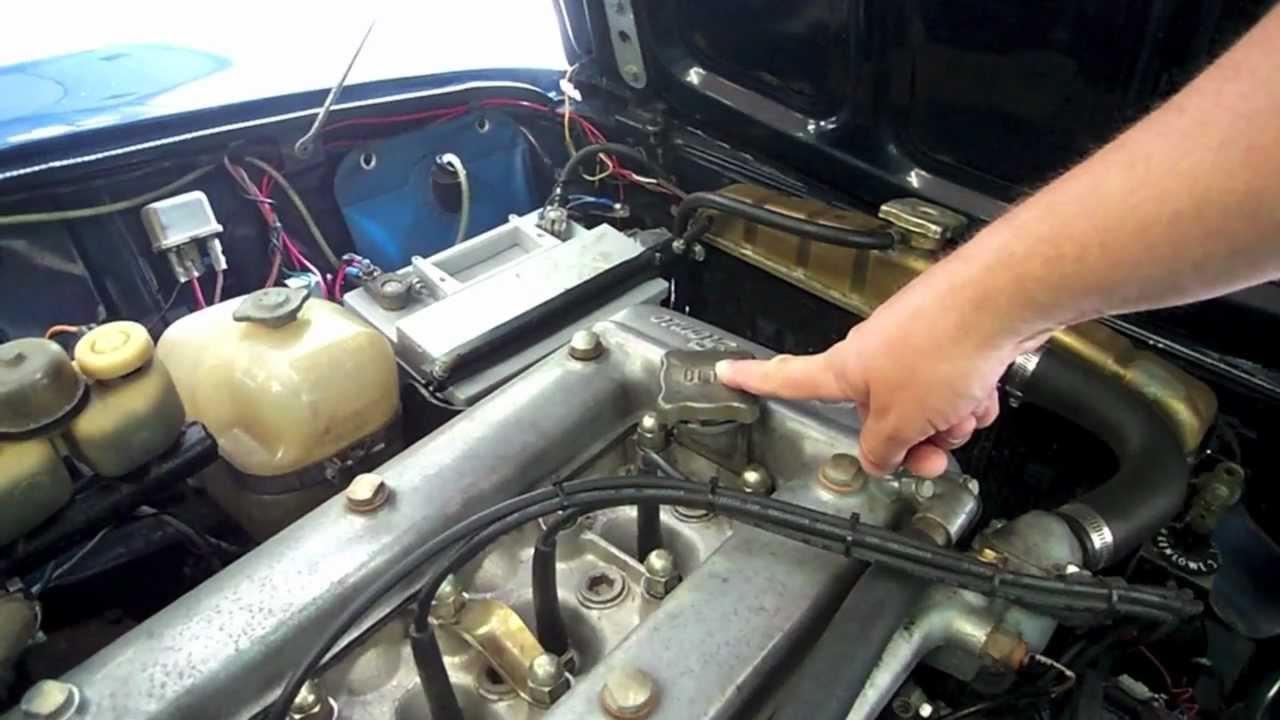 oil coming out of exhaust
