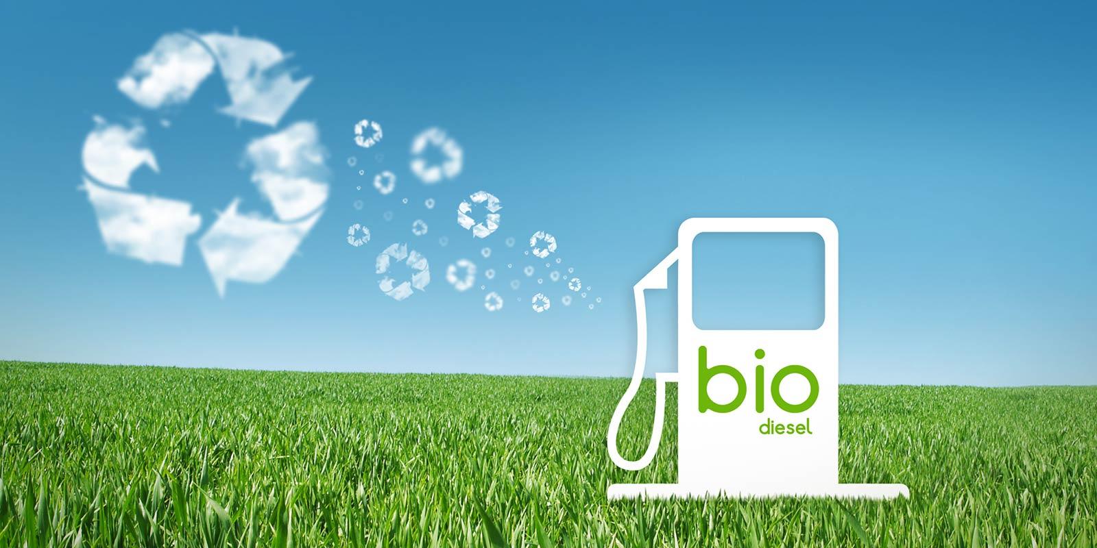 Biodiesel energy