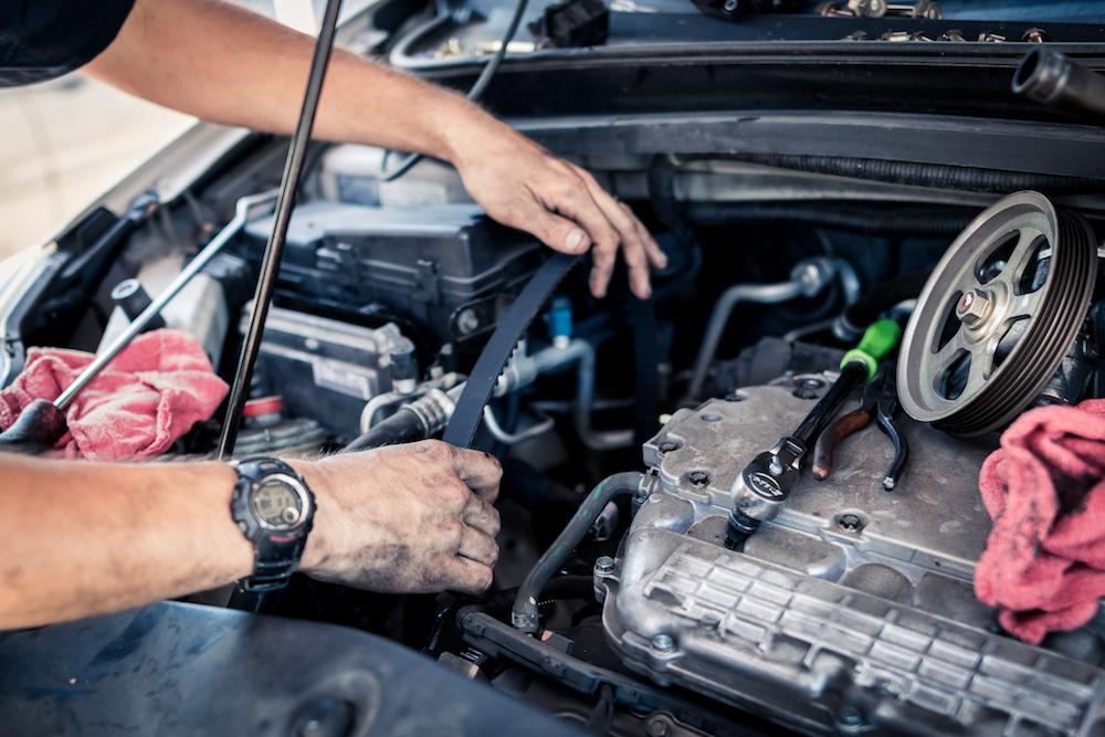 car timing belt book