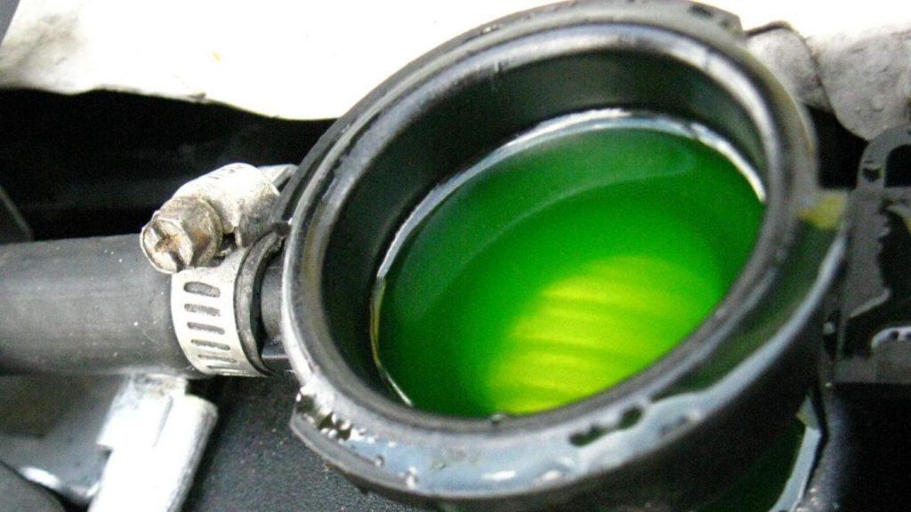 Bad Radiator Cap Symptoms >> Function And Symptoms Of A Bad Radiator Cap Bad Radiator Cap Symptoms >> Function And Symptoms Of A Bad Radiator Cap
