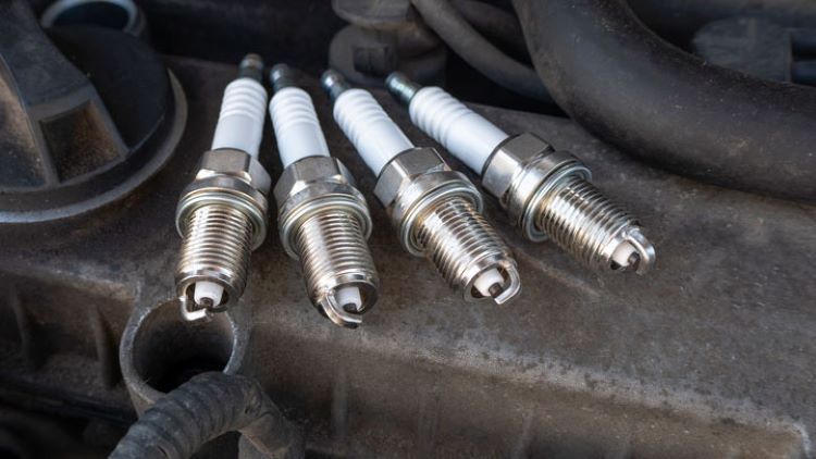 examine spark plugs