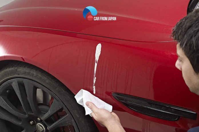 why do birds poop on red cars