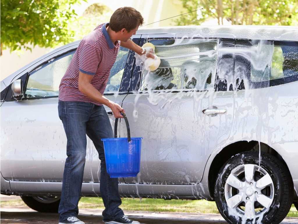 Bug off: the basics of insect removal - Professional Carwashing & Detailing