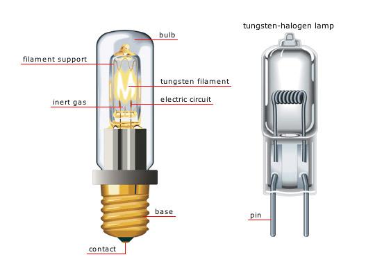 Halogen Headlights