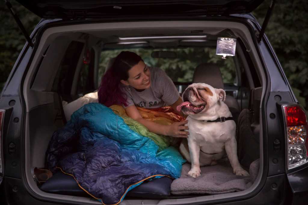 How to Sleep in a Car: What to Buy to Comfortably Sleep in Your Car -  Thrillist