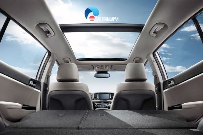 cars with panoramic sunroofs