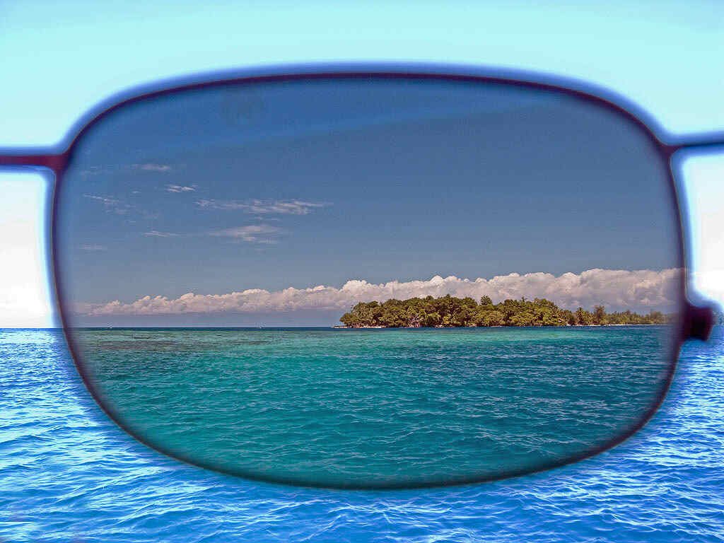 polarized sunglasses test