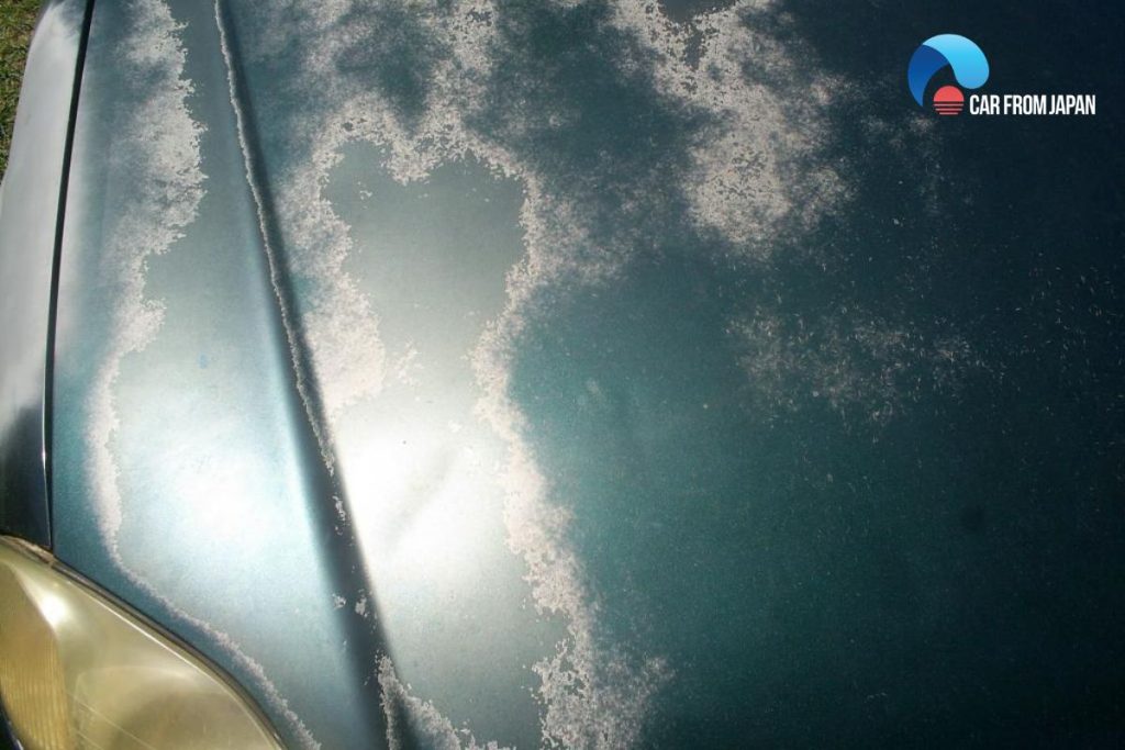 does goof off damage car paint