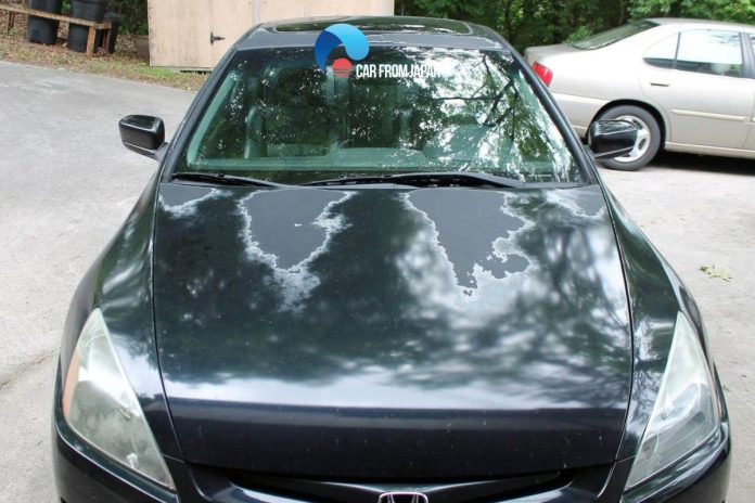 how to protect car paint from sun